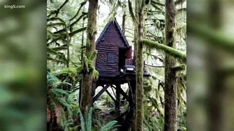 Места north bend, oregon общественная организациявооруженные силы u.s. Child porn found cabin nestled in woods near North Bend ...