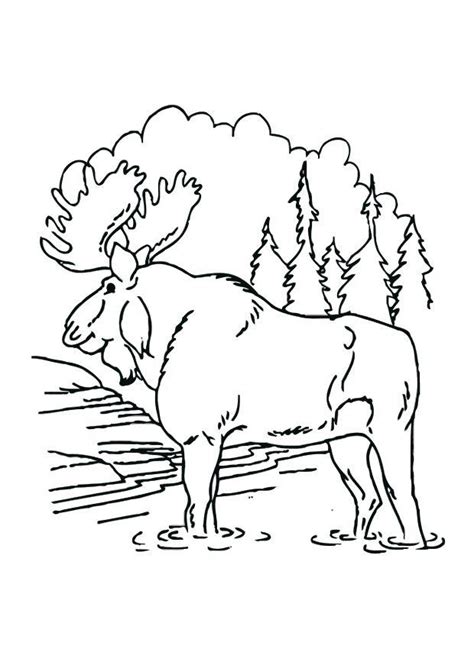 This article created on the june 29, 2021, by alisha legerstee. Coloring Page moose - free printable coloring pages - Img ...