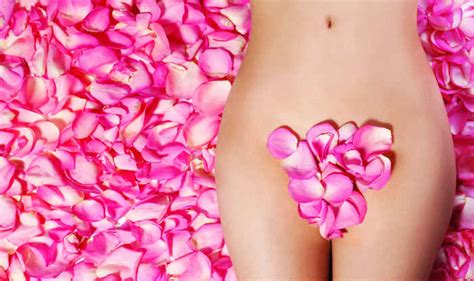 Make sure you soften the hairs and open the pores in pro tip: What is bikini waxing: 13 tips to keep in mind before you ...