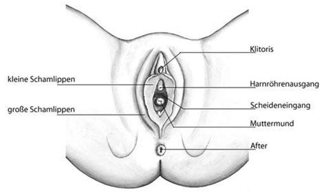 Durchaus solltest du auch obacht geben, denn so manche provisorische muschis können deinem. Tampon, Selbstbefriedigung? (Periode)