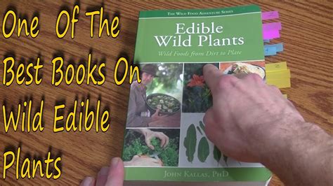 Contents the edible landscape 4 apples 8 currants, apricots 9 pears, cherries, plums 10 berries 12 wine grapes. Wild Edible Plants From Dirt To Plate By John Kallas ...