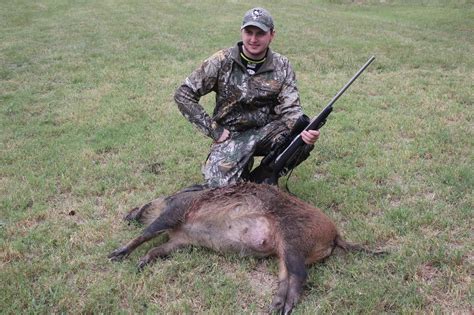 Their toughness combined with their ability to eat just about anything has allowed them to expand into a varity of habitats. Texas Hog - Pricing, Features, and More