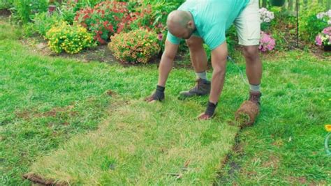 Why you shouldn't lay sod right over your lawn. How to Lay Sod Over an Existing Lawn | How to lay sod ...