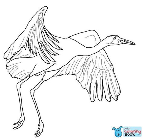 History steamer began skateboarding in 1989, turning pro in 1998 when she won the women's street section at slam city jam 1998. Tony Hawk Coloring Pages Free - Dejanato