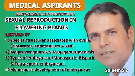 Maturation (figure 1h), double fertilization, and endosperm and embryo formation (figure 11). Monosporic | Bisporic | Tetrasporic | Development | of ...