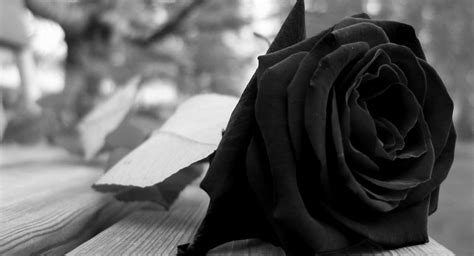 Vediamo ora un altro messaggio per un'amica colpita da un grave lutto in famiglia, da scrivere via lettera: Frasi condoglianze