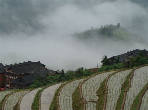 terraces,longji,guilin,guangxi-guangxi,-natural