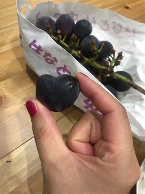 今日のブログは髙橋蘭です - 新発田の美容室 Hair Life KONIKONI