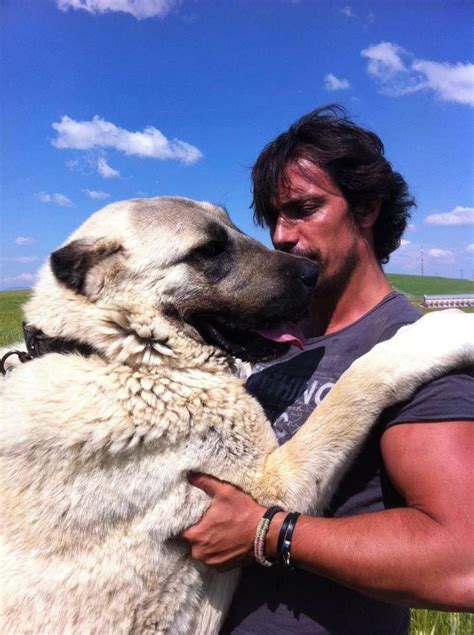 We did not find results for: Ibrahim Çelikkol ️