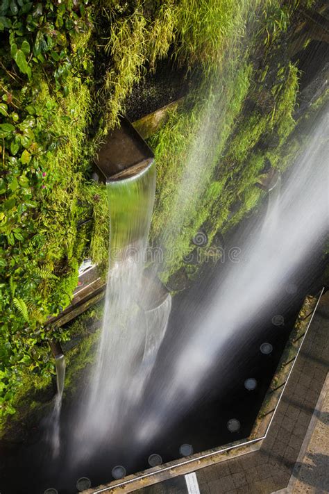 Wenn sie sich entspannen und dabei kreativ sein möchten und wenn sie gärten lieben, ist diese app genau für sie bestimmt! Innerer Garten Mit Wasserfall Stockfoto - Bild von ...