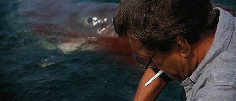 Termurah terbaik 1.463.267 views2 months ago. Jaws Movie GIFs - Find & Share on GIPHY