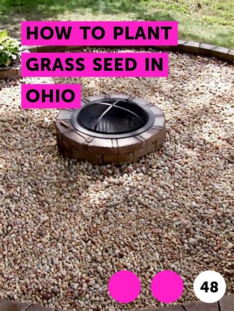 Keep in mind that different grass plants germinate at different times. Learn How to Plant Grass Seed in Ohio | How to guides, tips and tricks | Growing grass, Compost ...