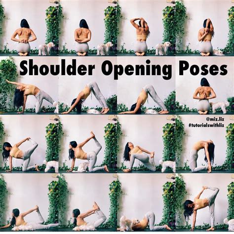 You can use poses that strengthen your torso as well to. Shoulder Opening Yoga Poses, I think you should try ...