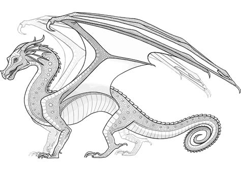 Download Rainwing Dragon Coloring Page - Free Printable Coloring ...
