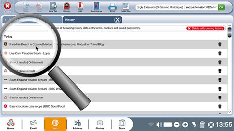 When you clear your browser history, your dns cache is not touched. Find a previously visited website using your internet ...