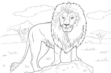 Three burly lions walk around on their hind legs in this printable animal coloring page for kids. Lion Sleeping In Tree Coloring Pages - Coloring Pages Ideas