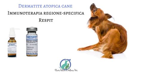 Papilloma cane rimedi naturali - karolyirefegyhazmegye.ro ...