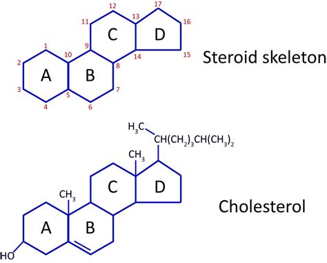 Maybe you would like to learn more about one of these? Lipids | Biology | Visionlearning