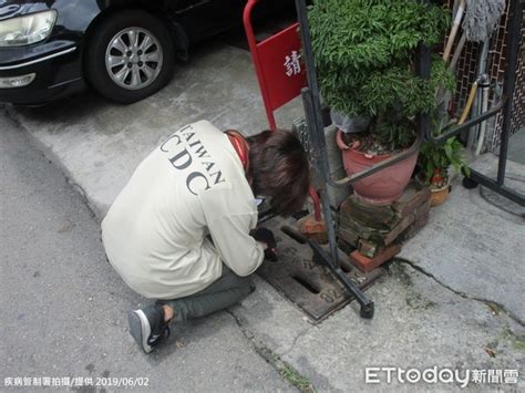 当前位置:百鸣 > 国外网站 > 国外搜索引擎. 高雄又淪陷!首例本土登革群聚攻佔三民區 5天7人中鏢 | ETtoday健康雲 | ETtoday新聞雲