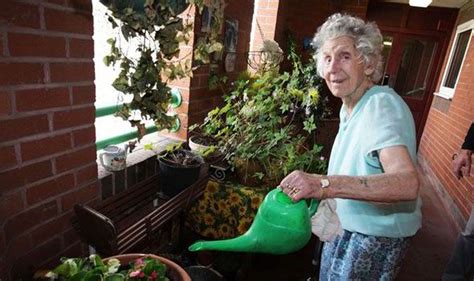 The main stem has started to wilt. Pensioner told to remove plants from flat - for health and ...