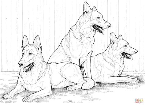 Click the german shepherd dogs coloring pages to view printable version or color it online (compatible with ipad and android tablets). German Shepherd Dogs Coloring page | Free Printable ...