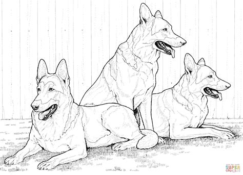 This coloring page was posted on wednesday, april 24. German Shepherd Dogs Coloring page | Free Printable ...