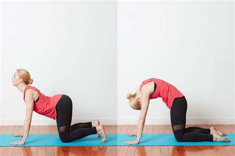 It stretches the back torso and neck, and softly stimulates and strengthens the abdominal organs. 14 Yoga Poses for Swimmers for Strength and Flexibility
