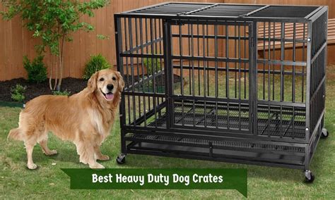 A puppy breathing fast while sleeping can be symptomatic of a handful of medical conditions. Best Heavy Duty Dog Crates