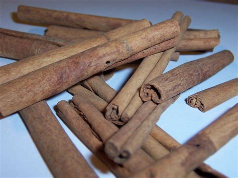 Free cinnamon sticks 2 Stock Photo - FreeImages.com