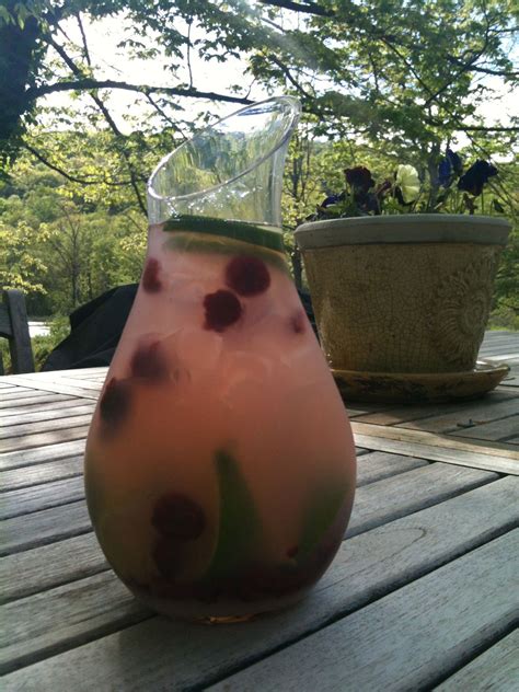 Garnish with a lime wheel. Raspberry Gin Limeade w. Fresh Mint Sprigs and Sliced ...