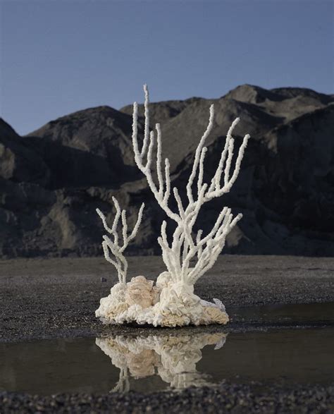 Ses principales villes sont carcassonne (sa. Exploring Corals' Beauty with Aude Bourgine | Cinematic ...