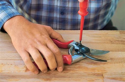 Andere wiederum schneiden im sommer, um das wachstum etwas zu bremsen. Pin auf Garten - Cottage