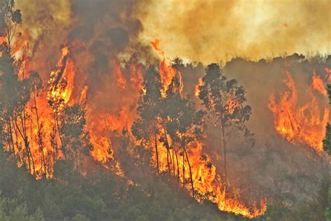 Os concelhos são loulé, são brás de alportel e tavira, no distrito de faro, gavião, em portalegre, e mação, em santarém. Incêndio em Monchique foi dominado durante a noite | Sul ...