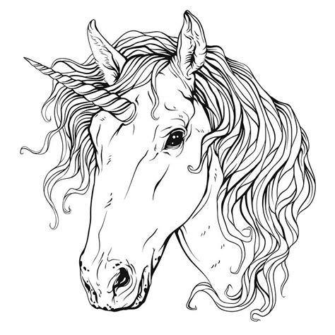 This coloring sheet shows a magnificent american unicorn. Unicorn Line Drawing at PaintingValley.com | Explore ...