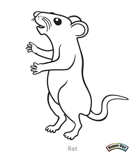 Up to 11 inches long; Click The Kangaroo Rat Coloring Pages - Cartoon Rat ...