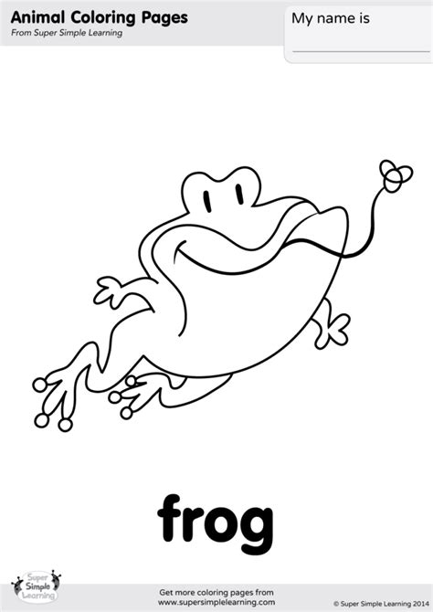 The frog is a fascinating reptile with unique characteristics. Frog Coloring Page - Super Simple