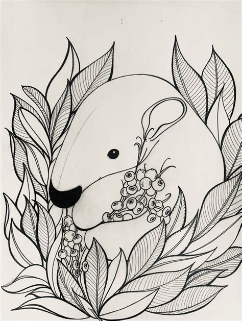 100% free jungle animal coloring pages. Anteater coloring page by olive cat collective em 2020 ...