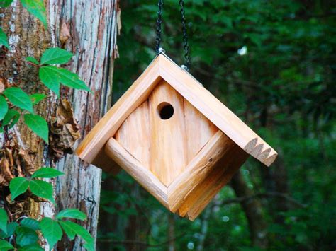 Construction of the bird house. Chickadee Bird House Placement | Birdcage Design Ideas