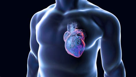 La miocarditis es la inflamación local o general del músculo del corazón (miocardio). 10 Doenças Cardiovasculares