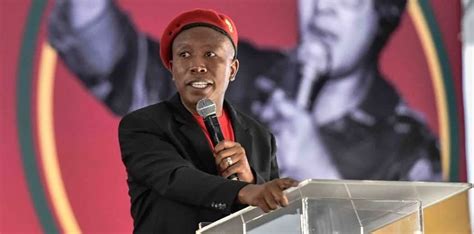 Update | ziyanda ngcobo has the latest updates ahead of malema and zuma's tea meeting. Julius Malema: Latest news on thesouthafrican.com