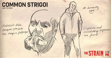 Imagine a cross between contagion's cod science, buffy's daft mythology and world war z's marauding. Vampire (Strigoi) | The Strain Wiki | FANDOM powered by Wikia