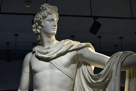 Apollo Belvedere · Wilcox Classical Museum