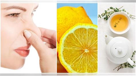 So let's take a look at how you can deal with this problem. Smells fishy! 7 effective ways to get rid of your body ...