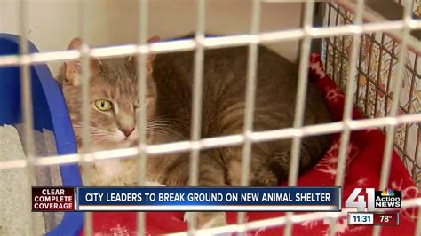 Shelters around kansas city said that those on the fence about adopting an animal can try fostering first. Kansas City breaks ground on new animal shelter Tuesday