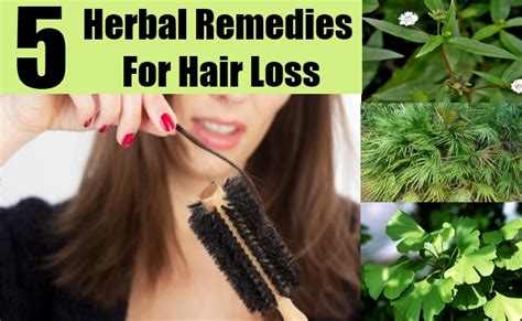 Castor oil is very useful for hair growth.it can make your hair thicker and darker.you. 5 Hair Loss Herbal Remedies, Natural Treatments And Cure ...