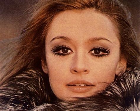 In queste ore una foto sta girando sul web, uno scatto che ha per protagonista raffaella carrà, all'anagrafe raffaella maria roberta pelloni, showgirl, cantante, ballerina, attrice, conduttrice televisiva tv, che lo scorso giugno ha compiuto 76 anni. Raffaella Carrà | Carrè, Raquel welch, Raffaello
