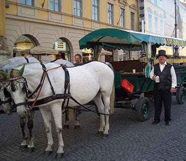 Maybe you would like to learn more about one of these? Kutschfahrt durch München & Englischen Garten