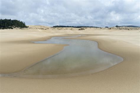 Pond in coastal sand dunes, Oregon - Geology Pics