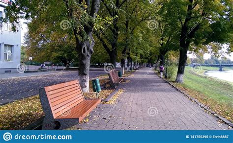 Live bse/nse, f&o quote of city union bank ltd. City River Bank Covered By Yellow Leaves Stock Image ...