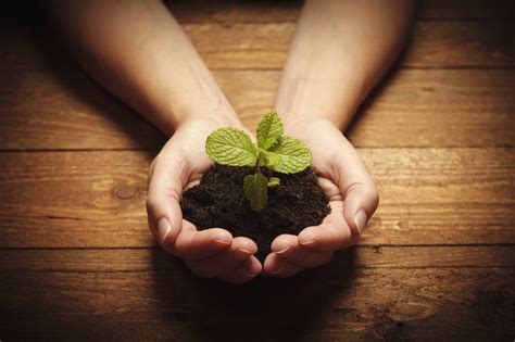 Eco-Friendly Vinyl Flooring For Your Home - Eco Floor Store